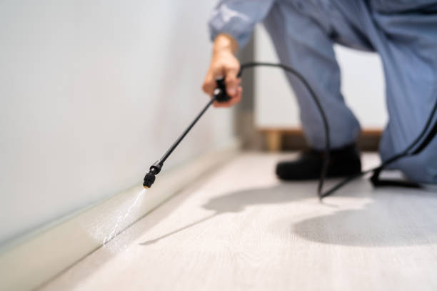 Bed Bug Pre-Treatment Preparation Assessment in Lone Tree